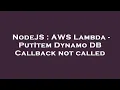 NodeJS AWS Lambda - PutItem Dynamo DB Callback not called