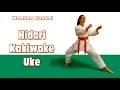 DrobyshevskyKarateSystem:Wankan-Combat Bunkai-1-Hidari Kakiwake Uke-Qinna Weapon Disarm