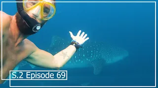 Good-Bye to Costa Rica; Sailing, Whale Sharks & Zarpes | Episode 69