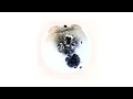 Still Young - White Label (Is This Love) | SIZE |
