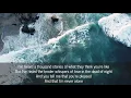 Good, Good Father - Pat Barrett & Chris Tomlin - Lyric Video