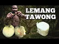 Download Lagu Lemang Buah Tawong - Makanan Langka Orang Asli Bateq