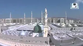 صلوا عليه يا مسلمين دندنها