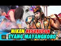 Download Lagu Penampilan Spesial NIKEN SALINDRY jadi CELENG SRENGGI bersama Jaranan Mayangkoro Original ❗❗❗