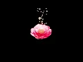 make it better - anderson .paak ft. smokey robinson (slowed n reverb)