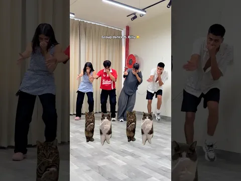 Choreographed by Billus 🐱 #shorts #funny #munna #viral