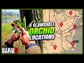 RDR2 Clam Shell Orchid Locations - FAST EASY Guide Duchesses Other Animals Guide