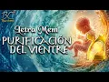 La Mem y la Purificacion del vientre - Profeta Bryan Cubillan