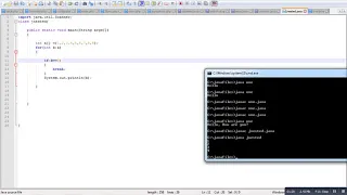 Nested loop Break Program in Java