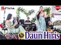 Download Lagu DAUN HIRIS II VIRAL TIKTOK INSAN VADMA