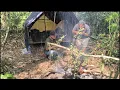 Download Lagu 2 Hari bertahan hidup di hutan ketika hujan deras siang malam tanpa membawa bekal makanan SURVIVAL