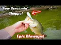 Download Lagu Epische explosies op de nieuwe Screamin’ Choppo!