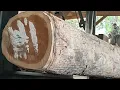 Perajangan kayu jati di gergaji sawmill bersama pekerja yang luar biasa terampil