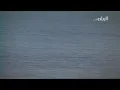 هدب عينه غريد الشاطئ جوده عاليه