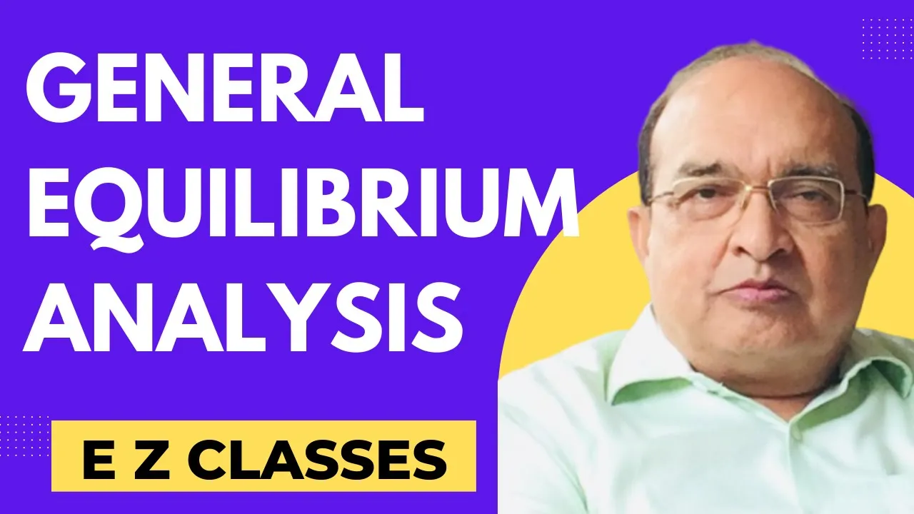 General equilibrium analysis, basic framework