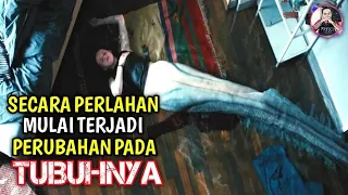 kisah sedih persabahatan antara manusia dan putri duyung alur cerita film