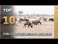 Top 10 Public Hunting Areas in Arkansas