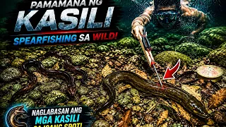 Part 1: Nagulat Kami! Sunod-sunod na Naglabasan ang mga Kasili! 