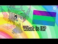 Sexuality of the Week What is Polysexual
