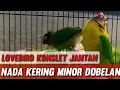Download Lagu Lovebird Konslet Jantan Nada Kering Minor Dobelan