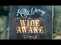 Katy Perry - Wide Awake (Sanjay 2020 Remix)/ Smile Tour Concept