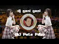 Download Lagu dj gani gani (DJ Pete Paza)