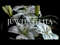 Download Lagu MAHARDIAS - Juwita Jelita (Official Lyric Video)
