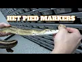 Saturday Snake School What Are Het Pied Markers