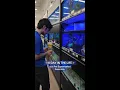 Day in the Life at Pet Supermarket