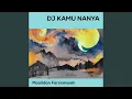 Download Lagu Dj Kamu Nanya