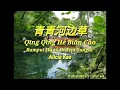 青青河边草~qing qing he bian cao ~ Alicia Kao
