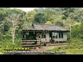 Lagu Salut Banget.. Jumpa Pasutri Pemberani 30 Tahun Sudah Mereka Tinggal di Dalam Hutan Ini