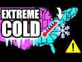 URGENT Multi-State Snow Emergency Record Cold By Saturday AM