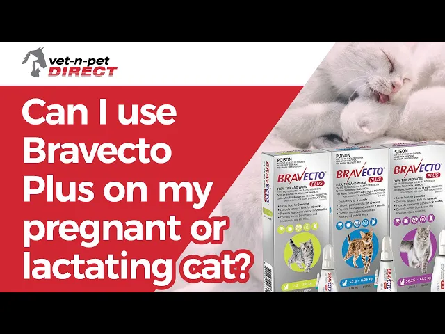 Bravecto Plus Spot-on for Large Cats - 2 Pack