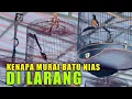 Download Lagu HARGANYA JADI MURAH‼️murai batu nias di anak tirikan