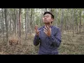 Download Lagu Insya allah Versi Bahasa indonesia