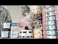 Petsmart Target wet cat food store house brands Authority and Kindfull