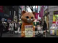 사랑일뿐야(It's Just Love) - 김민우(Kim Min Woo) Cover | 가사 Eng Lyrics | Seoul, South Korea Pictures