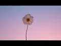 Download Lagu Fake Love - BTS - Piano Instrumental Cover