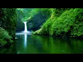 Susumu Hirasawa - Hashi Daiku