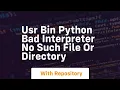 usr bin python bad interpreter no such file or directory