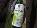 Download Lagu #kawakawa #anggurhijau #wine #alcohol #drink #drunk #alcoholicdrinks #alcoholicsanonymous #sweet