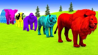 Long Slide Game With Elephant Gorilla Buffalo Hippopotamus Tiger 3d Animal Game Funny 3d Animals
