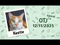 Nestle is OTJ Again 2025