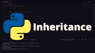 30 Inheritance in Python Python for Beginners