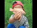 Lagu Petualangan Seru: Tangkap Ikan di Sawah, Dapat Ikan Lele Anakan dan Nila!