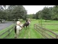 Download Lagu Horseback Riding in Ocala Florida with Cactus Jacks September 2015