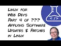 Applying Security Software Updates in Linux