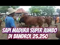 Lagu PASAR PAMEKASAN KEPPO MADURA SAPI NYA SEDIKIT JADI HARGA NAIK