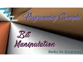 Bit Manipulation all concepts explained with animation